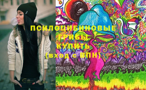 прущий лед Аркадак
